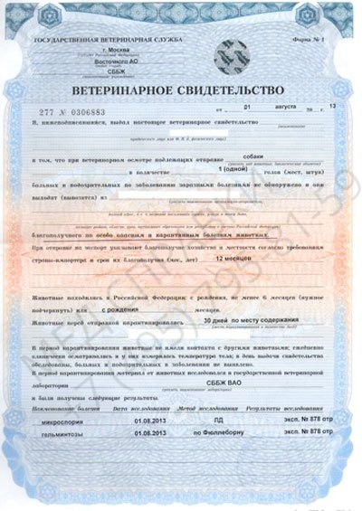vetsprv Образец ветеринарной справки Ф1