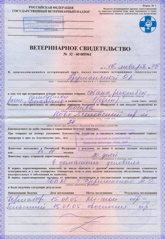 veterinarnaya-spravka-formy-f-1 (1) veterinarnaya-spravka-formy-f-1